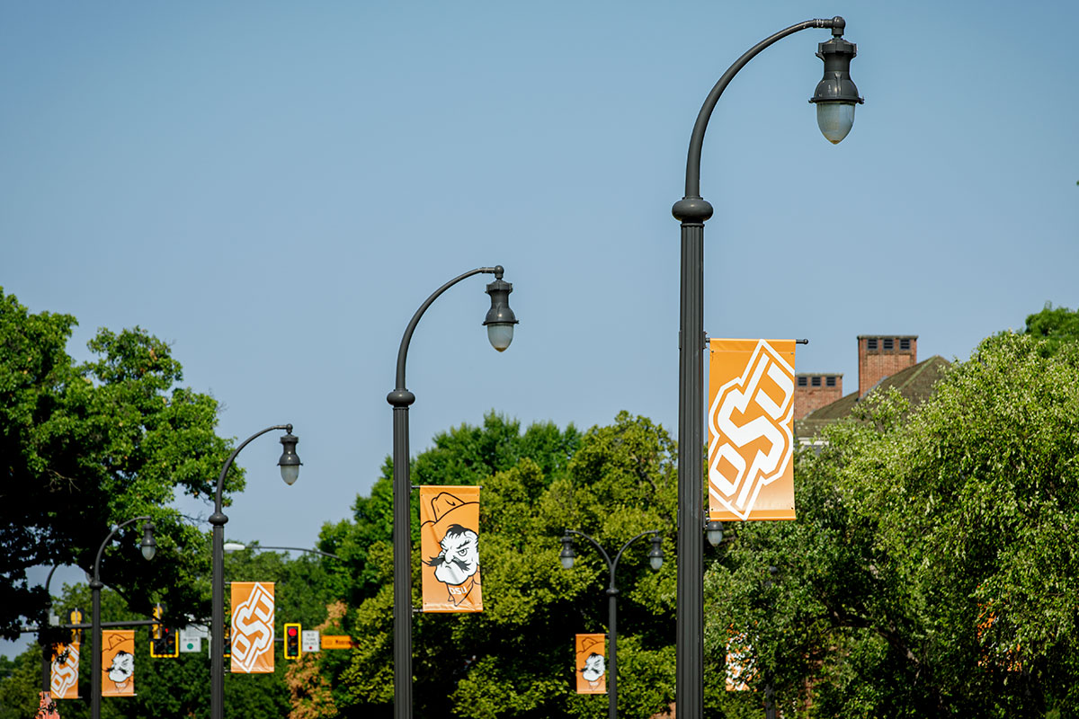 Branded flags